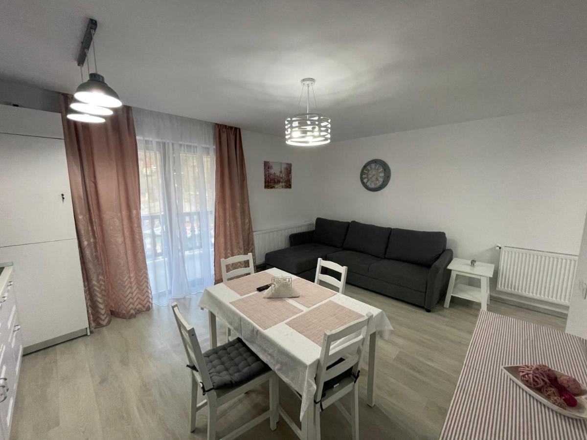 Castle Residence Apt. Eminescu Busteni Luaran gambar